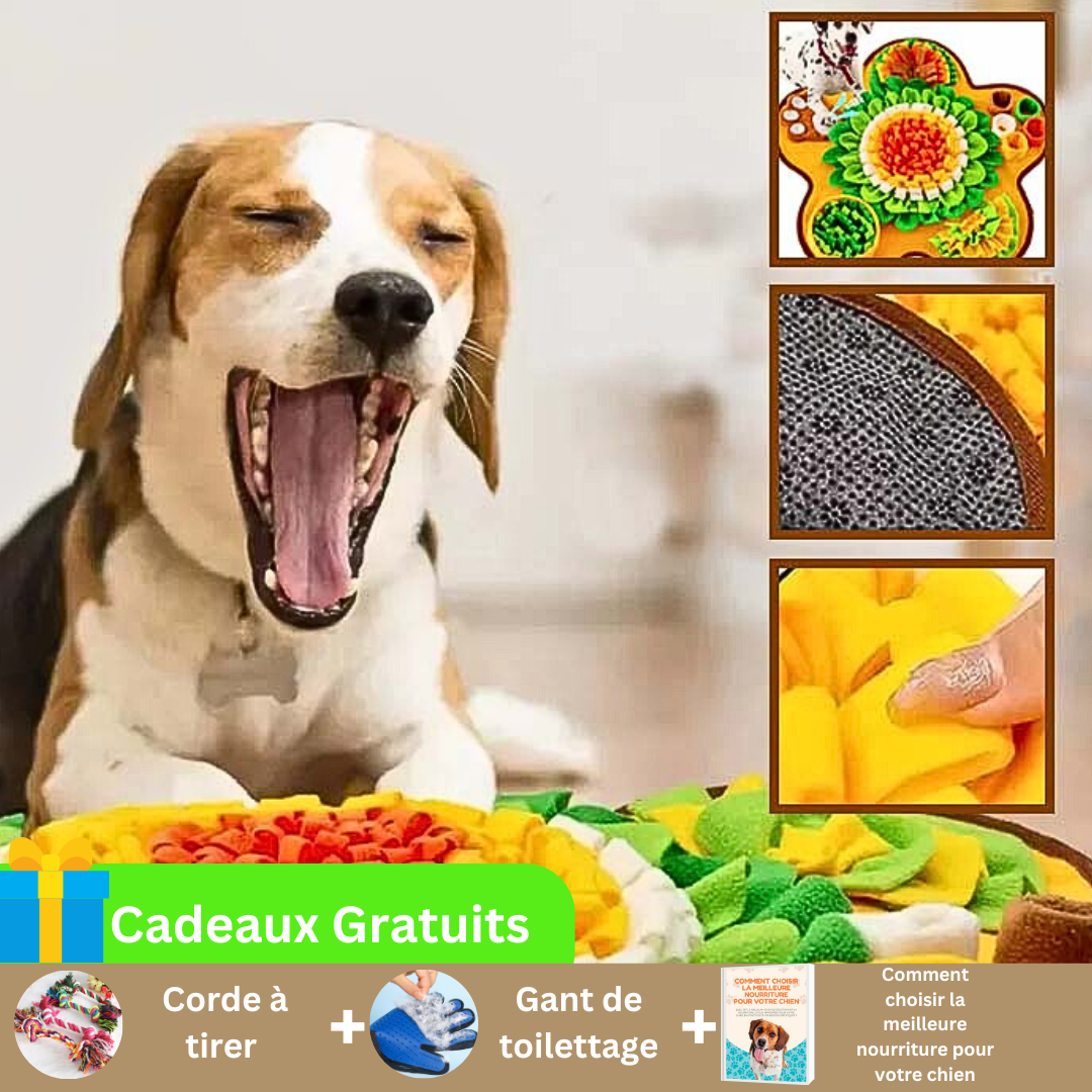 tapis-de-fouille-chien-cadeau