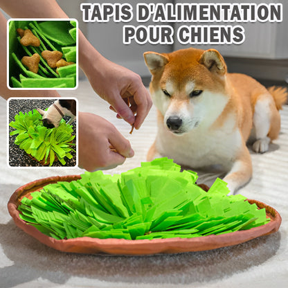 tapis-de-fouille-chien-faim