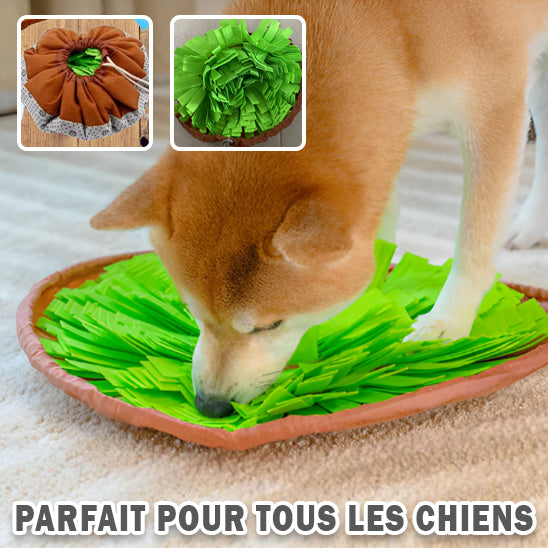 tapis-de-fouille-chien-occupe