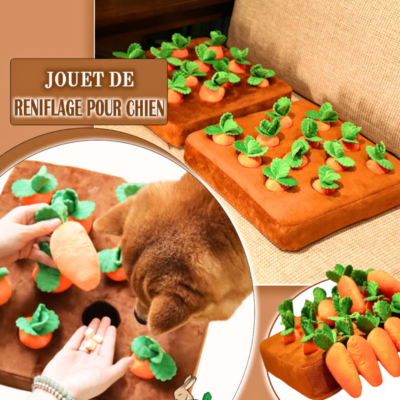 tapis-de-fouille-pour-chien-divertissant