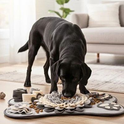 tapis de fouille pour chien lavable