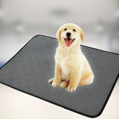 tapis-pour-chien-antiderapant