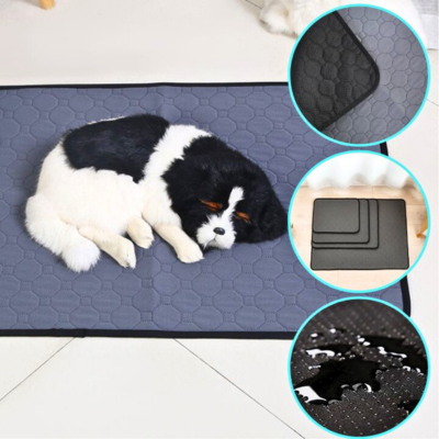 tapis-pour-chien-antiderapant