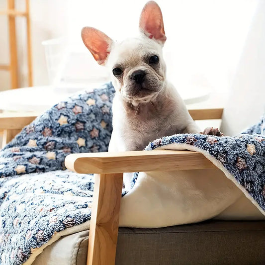 tapis-pour-chien-bleu