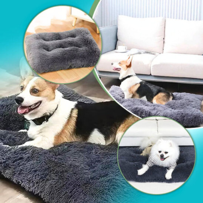 tapis-pour-chien-douillet