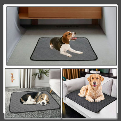 tapis-pour-chien-etanche