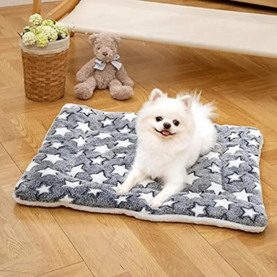 tapis-pour-chien-gris