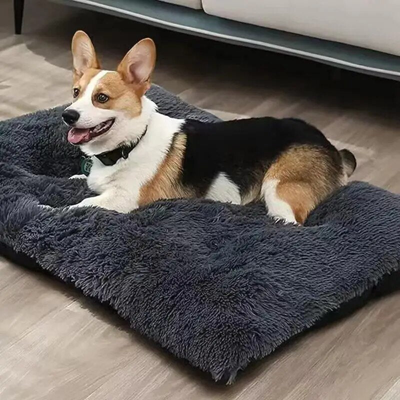 tapis-pour-chien-moelleux