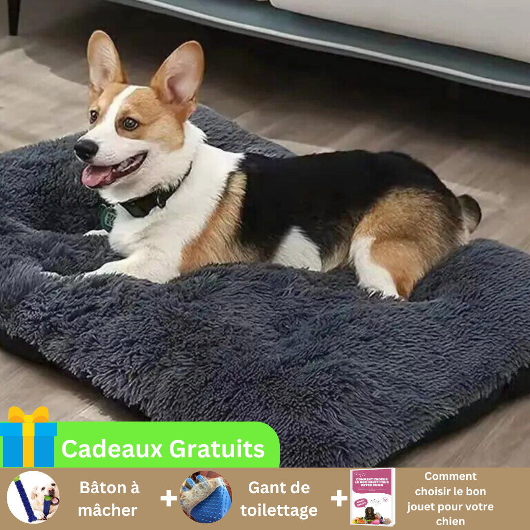 tapis-pour-chien-noir