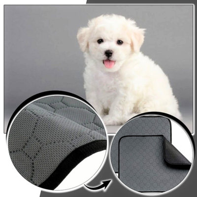 tapis-pour-chien-protection