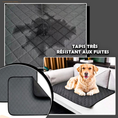 tapis-pour-chien-resistant