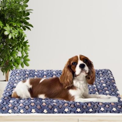 tapis-pour-chien-transportable