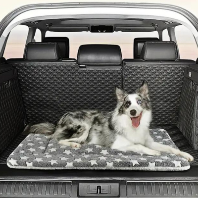 tapis-pour-chien-utilité