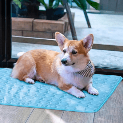 TAPIS RAFRAICHISSANT CHIEN | Freshrug™ - Wouf chien