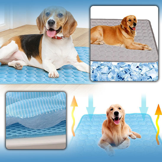 tapis-rafraichissant-chien-glace