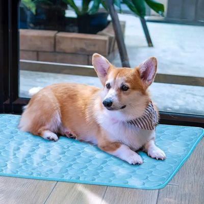 tapis-rafraichissant-chien-leger