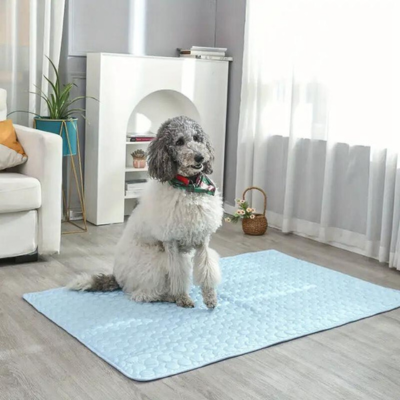 tapis-rafraichissant-chien-utile