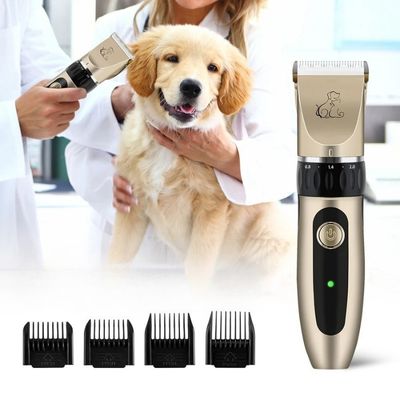 tondeuse-pour-chien-resultat