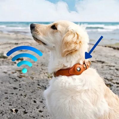 traceur-gps-chien-androide