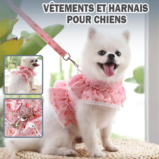 vetement-chien-rose