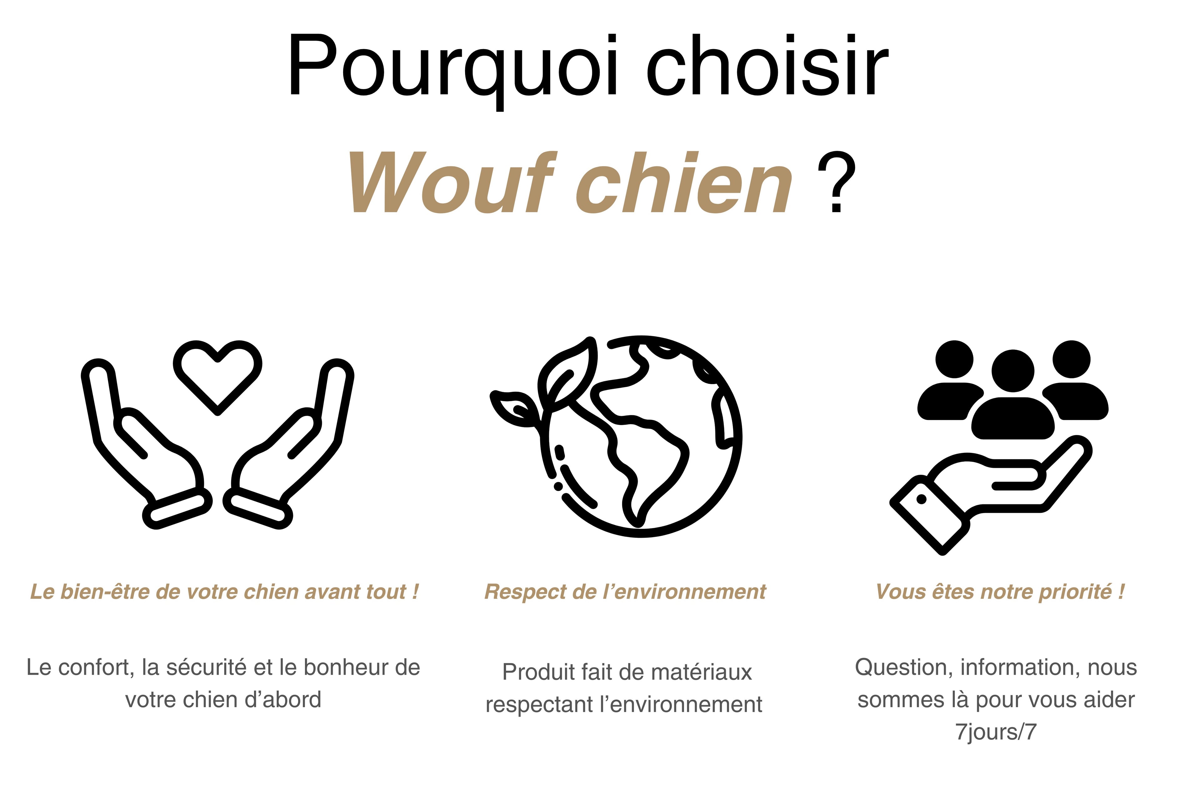 wouf-chien-boutique-1